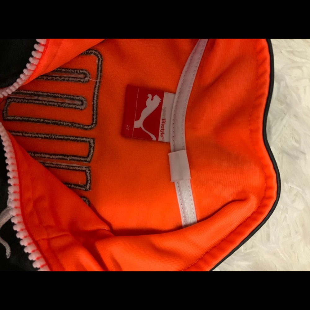 Jacket - Picture 5 of 5
